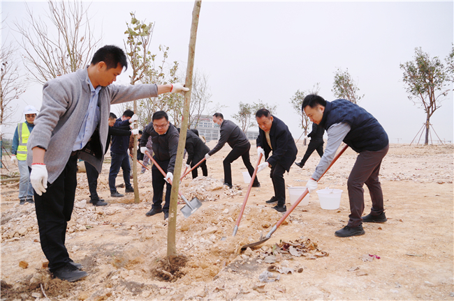 2023年3月13日，中馬合資公司組織開展2023年義務植樹活動